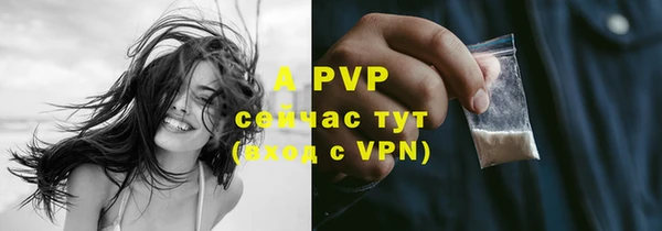 гашик Белокуриха
