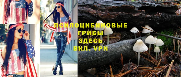 гашик Белокуриха