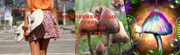 гашик Белокуриха